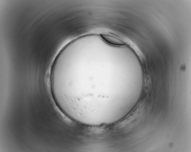 X0000103281103200809191800