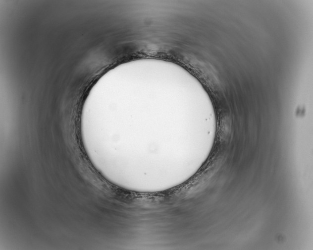 X0000103281105200809191759