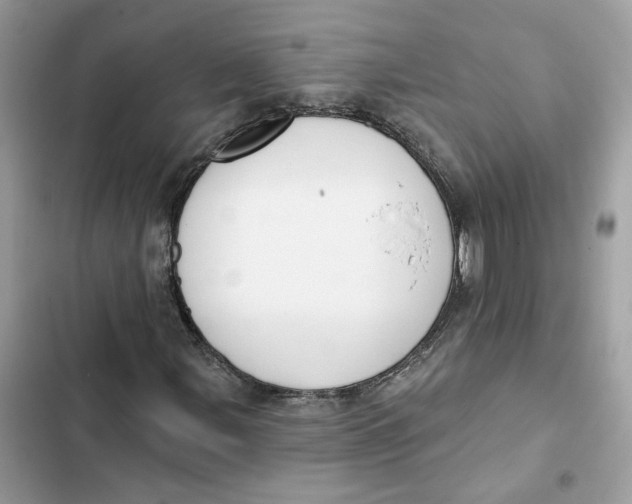 X0000103281107200809191759