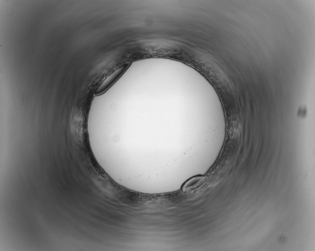 X0000103281108200809191759