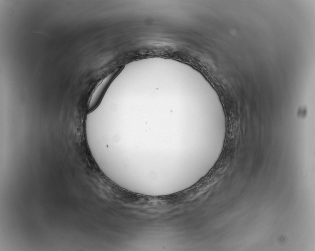 X0000103281109200809191759