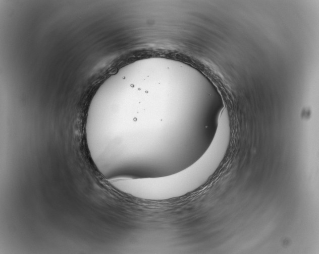 X0000103281110200809191759