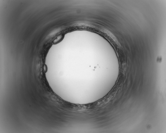 X0000103281111200809191759