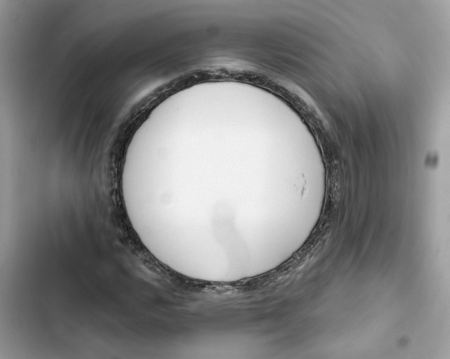 X0000103281112200809191759