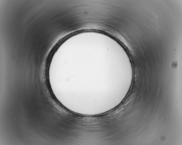 X0000103281116200809191759