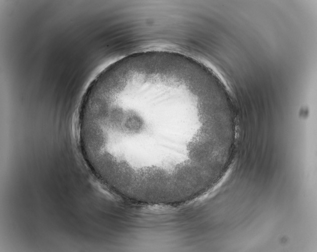 X0000103281117200809191800