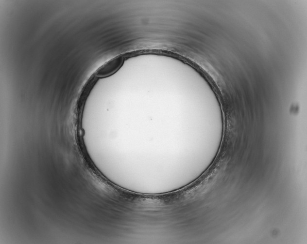 X0000103281119200809191800