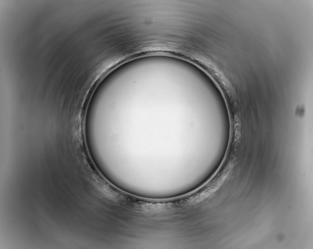 X0000103281121200809191800