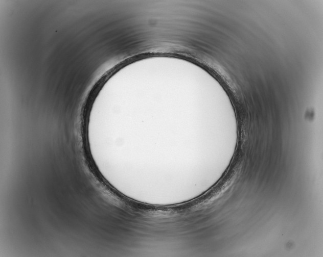 X0000103281122200809191800