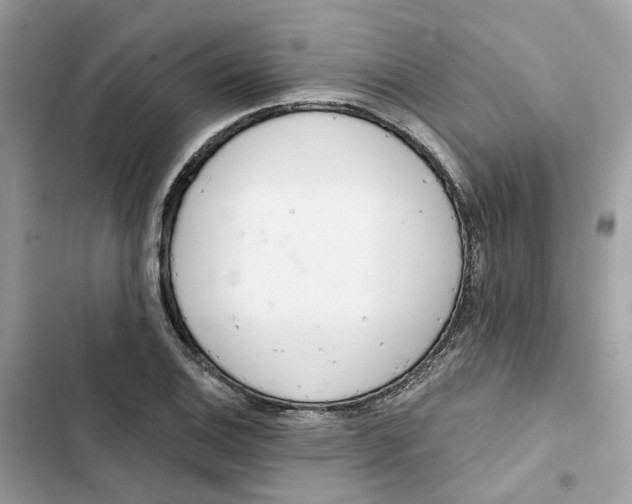 X0000103281124200809191800