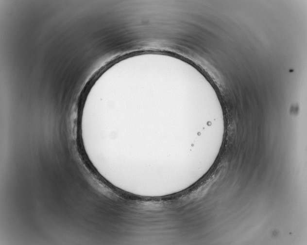 X0000103281126200809191800