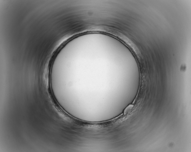 X0000103281127200809191800