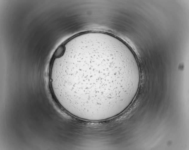 X0000103281128200809191800