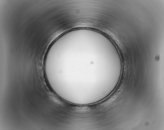 X0000103281129200809191800