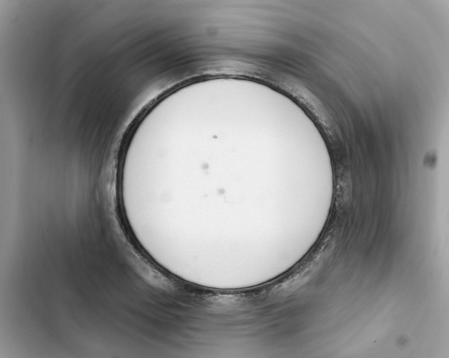 X0000103281130200809191800