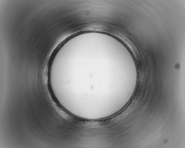 X0000103281131200809191800