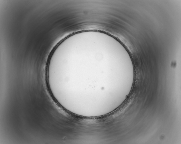 X0000103281134200809191800