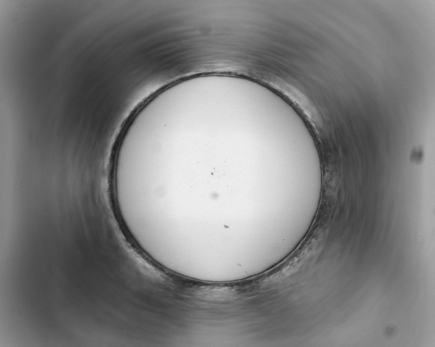 X0000103281135200809191800