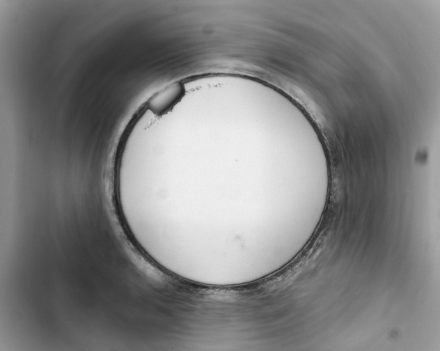 X0000103281136200809191800