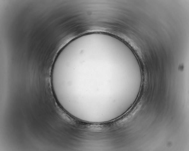 X0000103281137200809191800