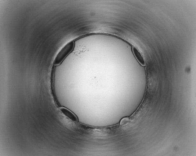 X0000103281138200809191800