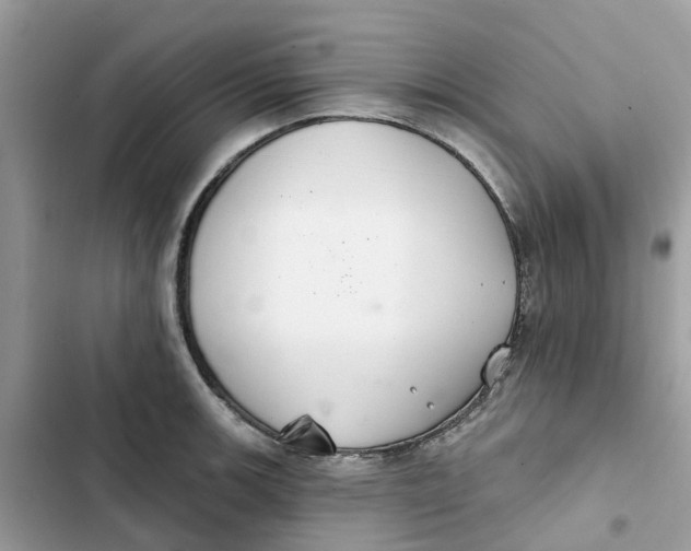 X0000103281139200809191800