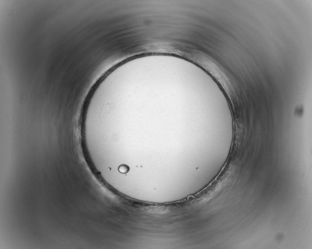 X0000103281141200809191800