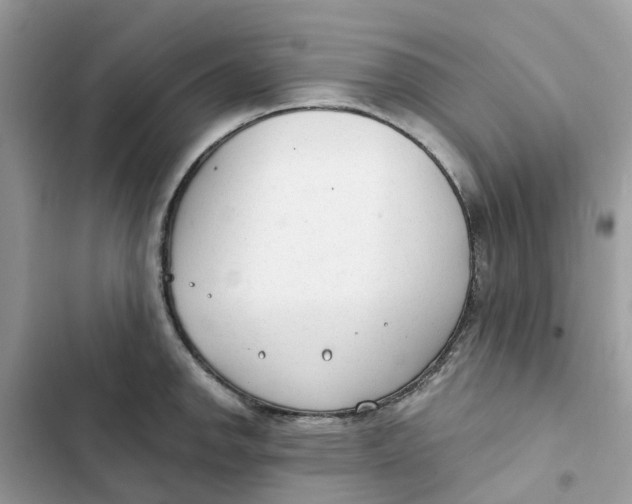 X0000103281142200809191800