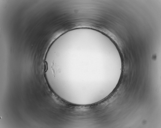 X0000103281145200809191800