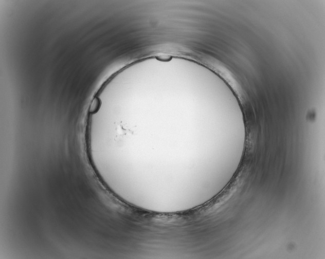 X0000103281146200809191800