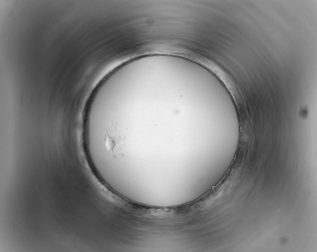 X0000103281147200809191800