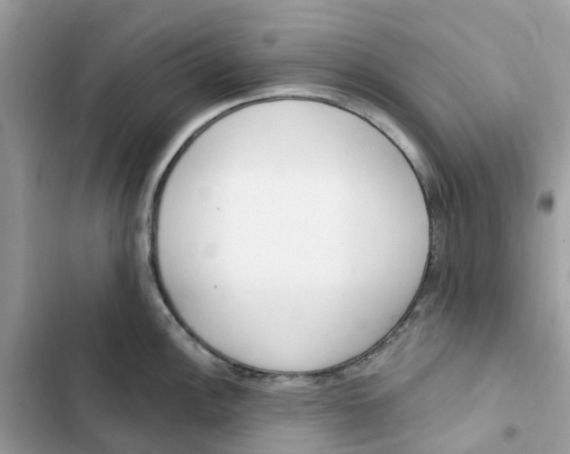 X0000103281148200809191800