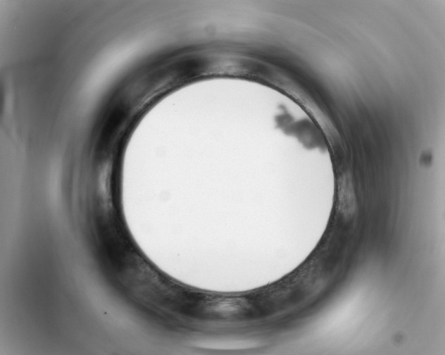 X0000103281150200809191800