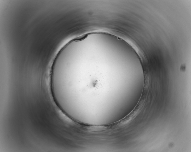 X0000103281151200809191800