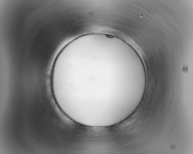 X0000103281152200809191800