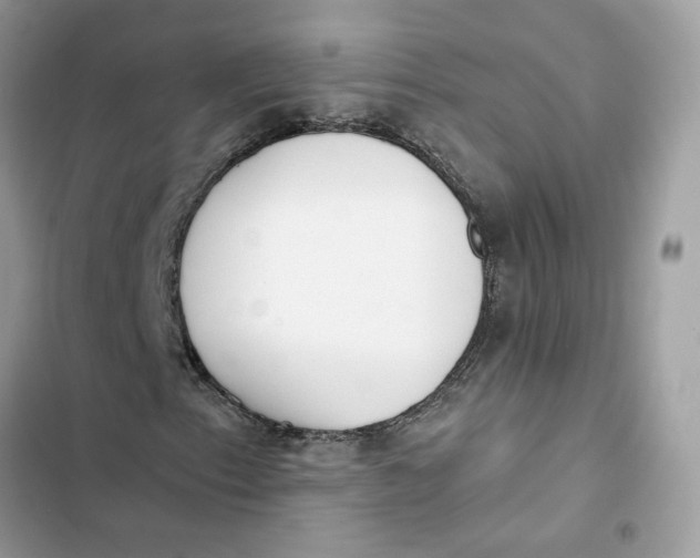 X0000103281153200809191759