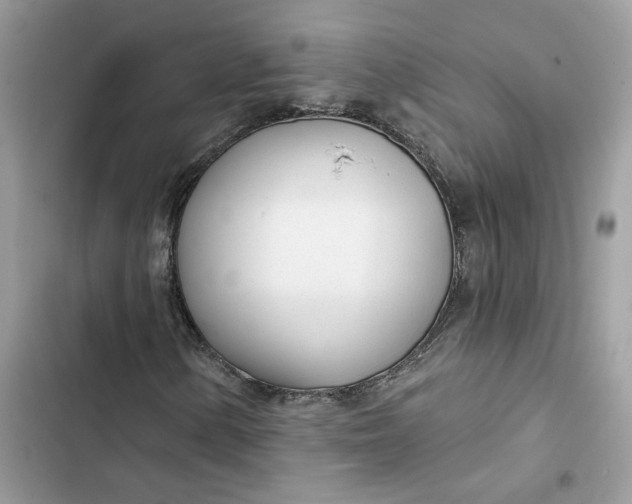 X0000103281154200809191759