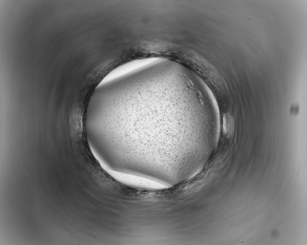 X0000103281155200809191759