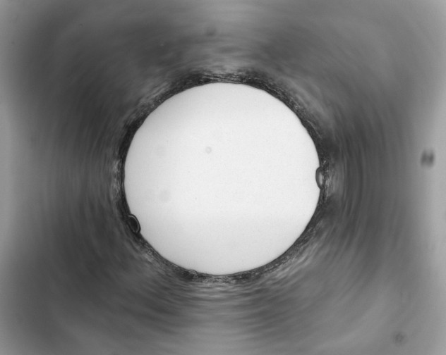 X0000103281156200809191759