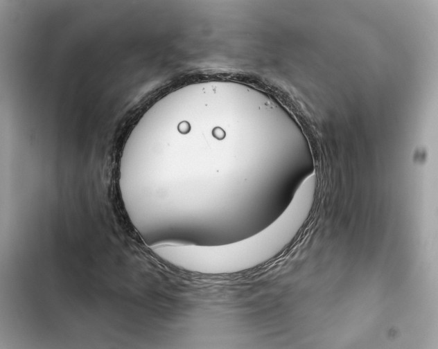 X0000103281157200809191759