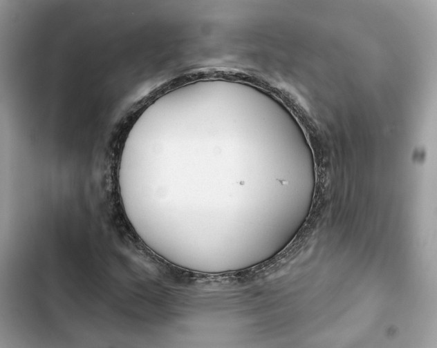 X0000103281159200809191759