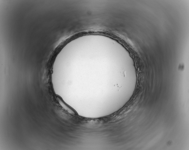 X0000103281160200809191759