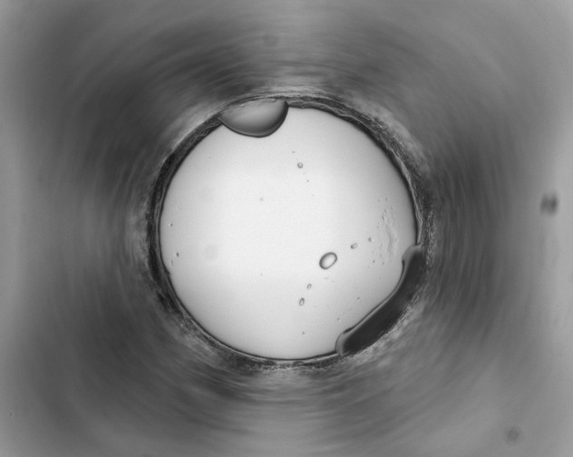 X0000103281162200809191759