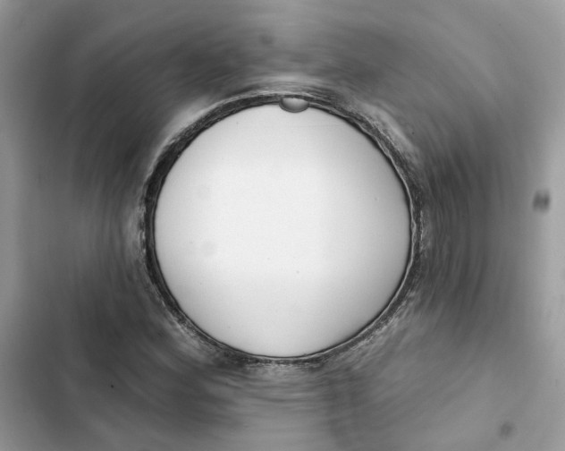 X0000103281164200809191759