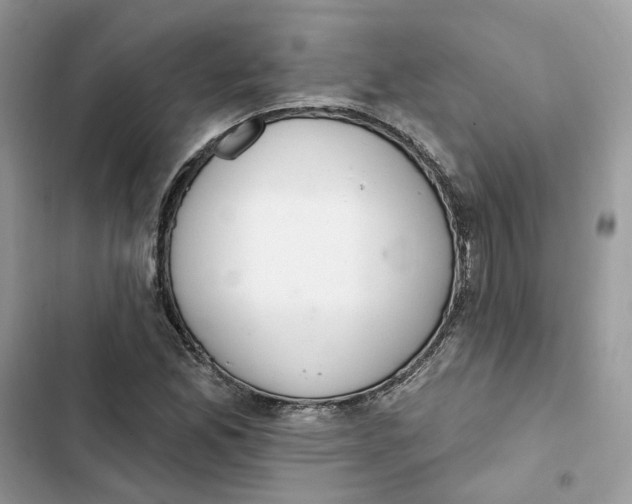 X0000103281165200809191759