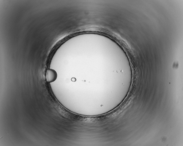 X0000103281166200809191759