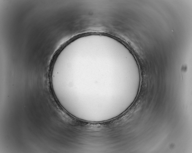 X0000103281168200809191759