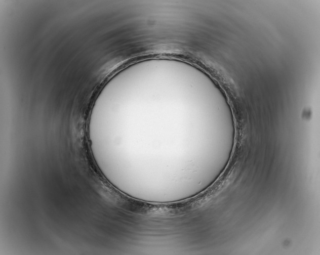 X0000103281169200809191759