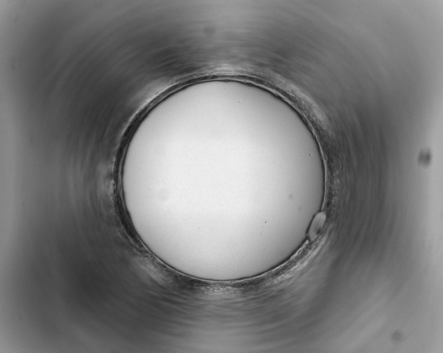 X0000103281170200809191759