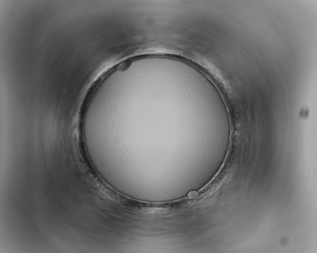 X0000103281173200809191759